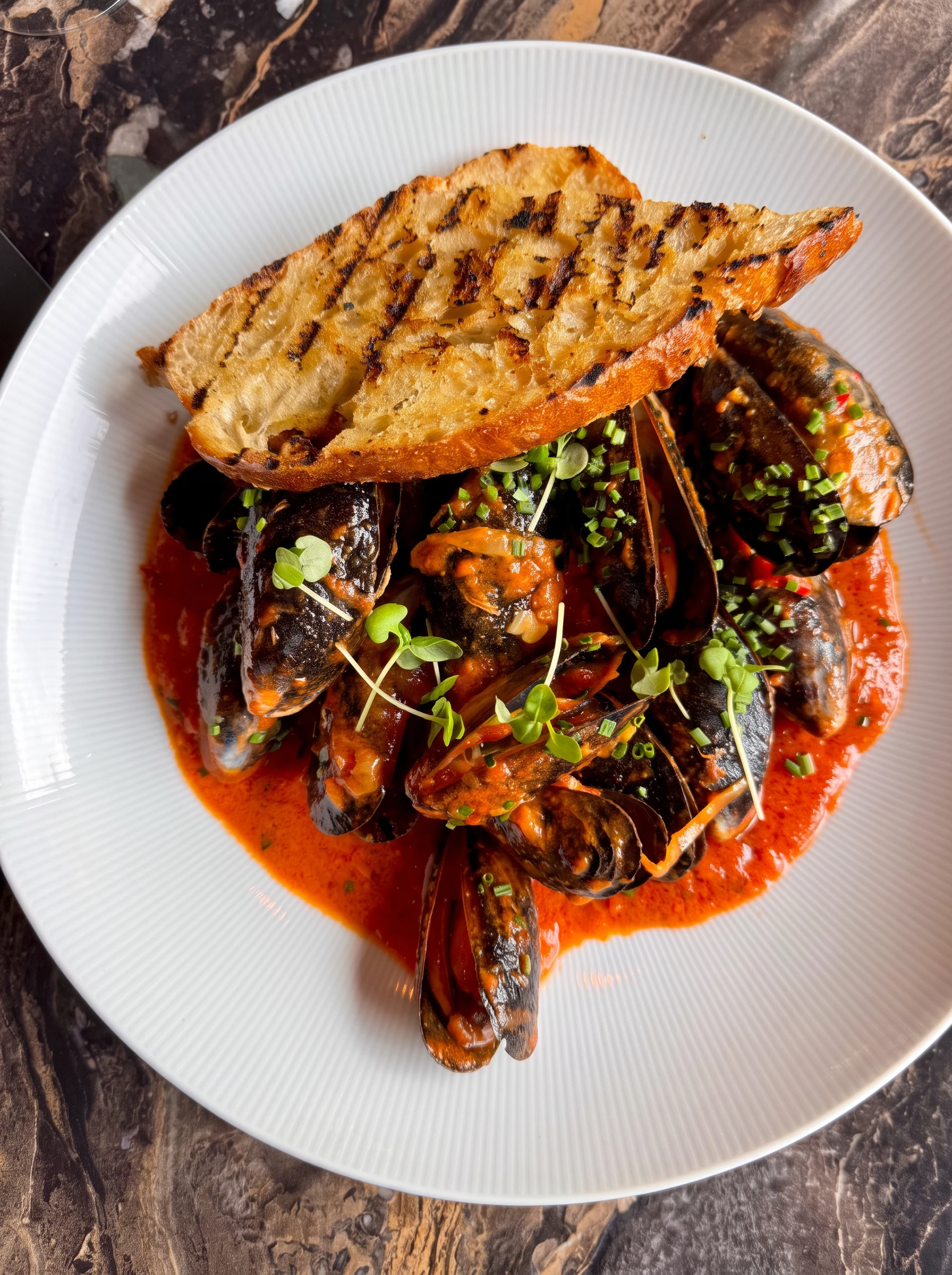 North Atlantic Mussels 